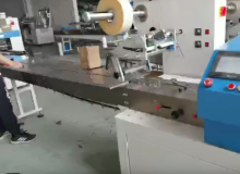 食品包裝機(jī)械操作視頻